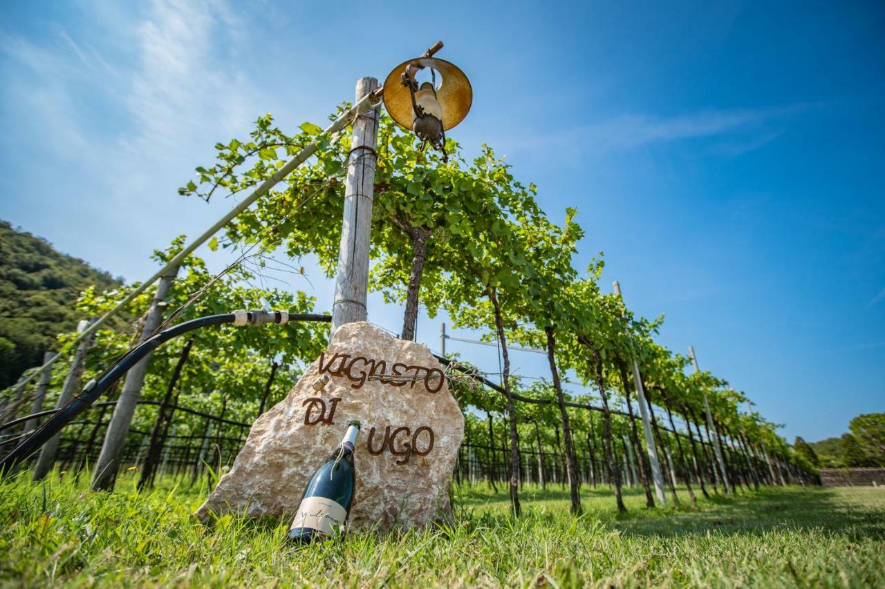 Agriturismo La Pertica Costermano Eksteriør billede