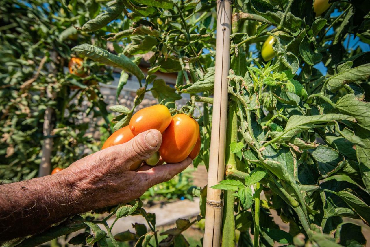 Agriturismo La Pertica Costermano Eksteriør billede