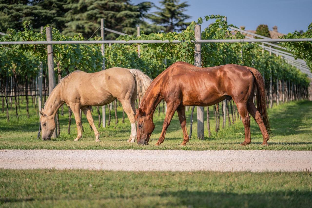 Agriturismo La Pertica Costermano Eksteriør billede