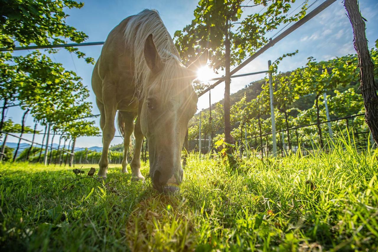 Agriturismo La Pertica Costermano Eksteriør billede