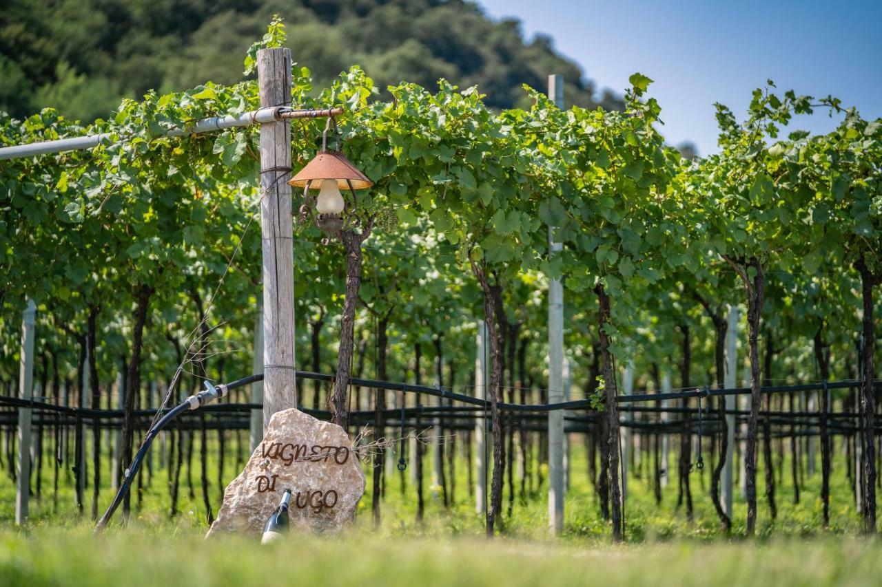 Agriturismo La Pertica Costermano Eksteriør billede