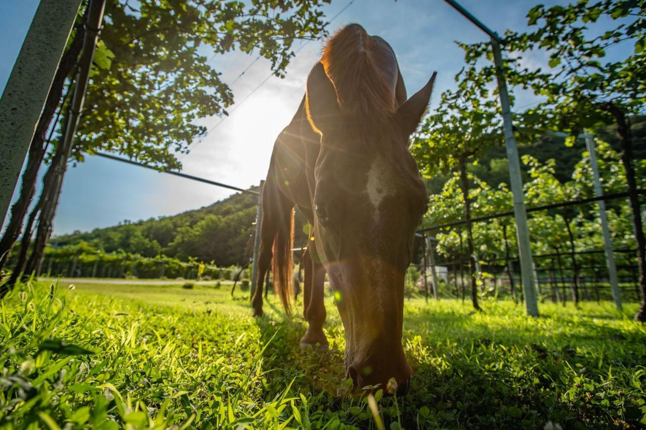 Agriturismo La Pertica Costermano Eksteriør billede